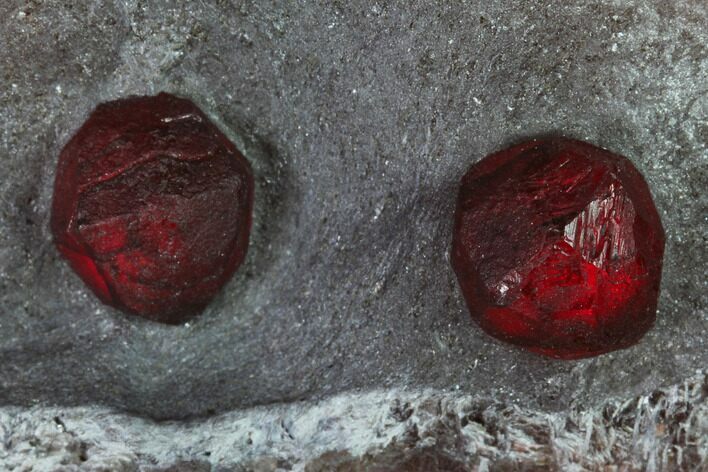 Plate of Two Red Embers Garnets in Graphite - Massachusetts #165519